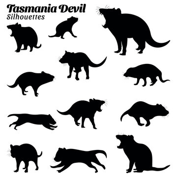 Collection Of Silhouette Illustrations Of Tasmania Devil Animal 