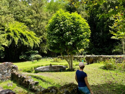 Termes de Hellbourg