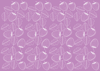 background of strawberry vector illustration,Doodle fruits. Natural tropical fruit, doodles strawberry and vitamin . Vegan kitchen strawberry hand drawn, organic fruits or vegetarian food.good for kid
