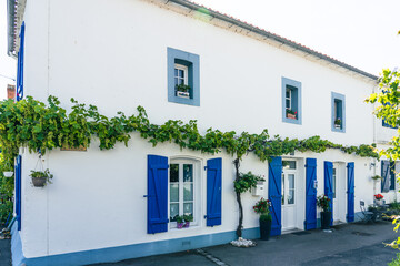 Fototapeta na wymiar Street white houses in the center of Noirmoutier Vendee France 