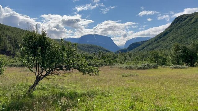 Sunny summer day in Steindalen Valley in Norwegian mountains