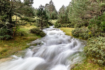 mountain river with a lot of water due to the autumn rains in the Sierra de Guadarrama in Madrid, Spain