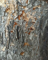 Textured Tree Trunk: Close-up Background with Rough Bark Pattern and Soil