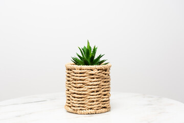 Decorative plants in woven flower pots on marble table