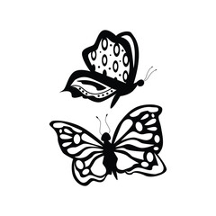 Butterfly silhouette design vector illustration insect