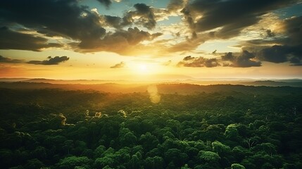 Fototapeta na wymiar Beautiful green amazon forest landscape at sunset sunrise. Adventure explore air dron view vibe. Graphic Art