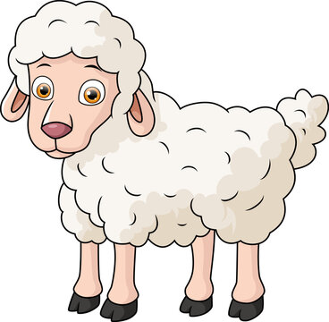 Cute baby sheep cartoon on white background