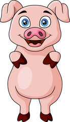 Cute little pig cartoon on white background