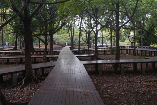 garden with wooden bridge and shady trees