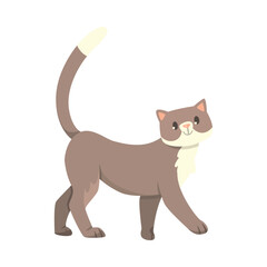 Funny Cat with Cute Snout as Domestic Pet Walking Vector Illustration