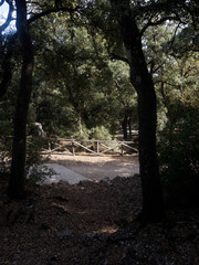 Vista de paisaje enmarcado de arboles