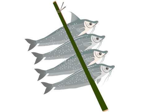 soft fish on a white background.