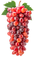 Red Grape on whiter background, Red grape or Red shine muscot grape with leaf isolste on white PNG File.