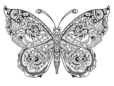 Monoline Butterfly Illustration in Black and White Color