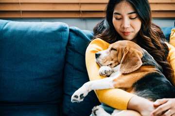 A woman shares a precious nap with her Beagle puppy on the sofa in their living room, capturing the...