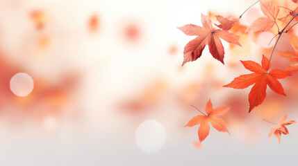 Naklejka na ściany i meble Autumn trees with leaves on light background