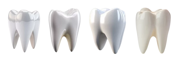 Fotobehang Set of elegant and shiny tooth isolated on a transparent or white background © Nayan