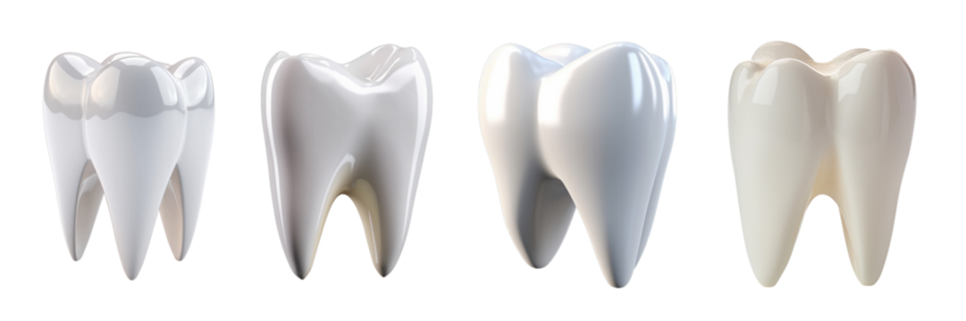 Set of elegant and shiny tooth isolated on a transparent or white background - Powered by Adobe