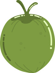 Green Coconut Illustration