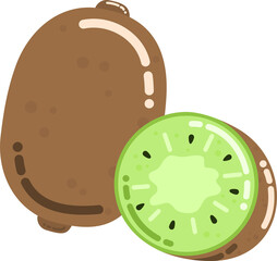 Kiwi Fruit Illustration