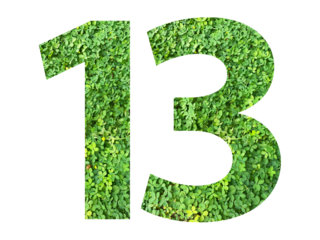 The shape of the number 13 is made of green grass isolated on transparent background. Go green concept.