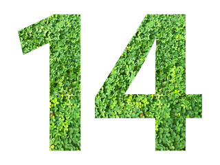 The shape of the number 14 is made of green grass isolated on transparent background. Go green...