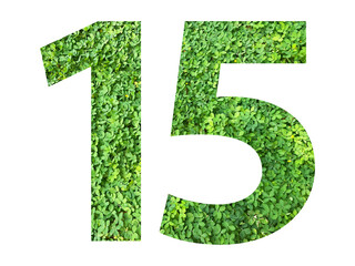 The shape of the number 15 is made of green grass isolated on transparent background. Go green...
