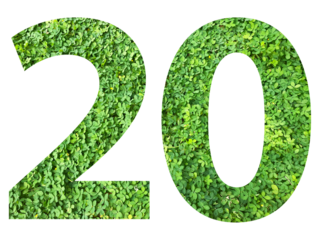 The shape of the number 20 is made of green grass isolated on transparent background. Go green concept.