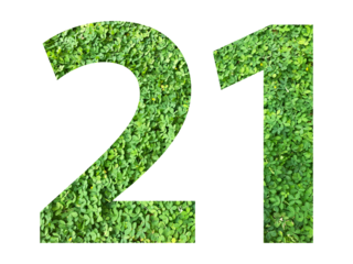 The shape of the number 21 is made of green grass isolated on transparent background. Go green concept.