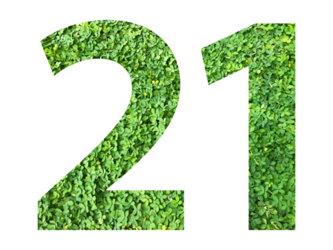 The shape of the number 21 is made of green grass isolated on transparent background. Go green concept.