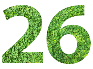 The shape of the number 26 is made of green grass isolated on transparent background. Go green concept.