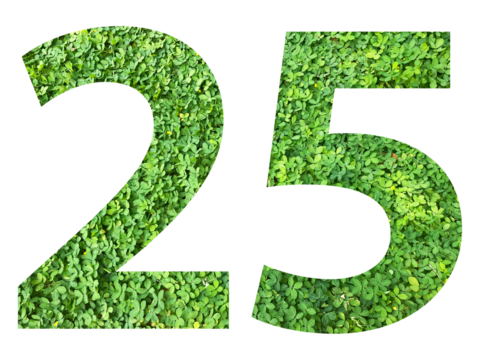 The shape of the number 25 is made of green grass isolated on transparent background. Go green concept.