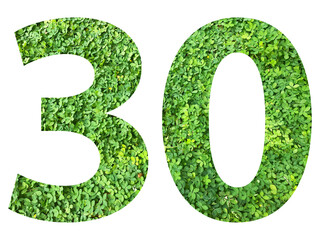 The shape of the number 30 is made of green grass isolated on transparent background. Go green concept.