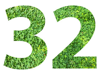 The shape of the number 32 is made of green grass isolated on transparent background. Go green concept.