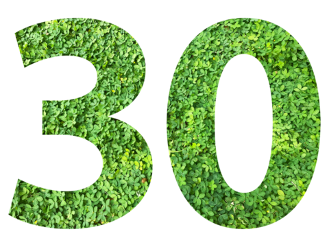 The shape of the number 30 is made of green grass isolated on transparent background. Go green concept. - Powered by Adobe