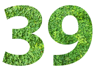 The shape of the number 39 is made of green grass isolated on transparent background. Go green concept.