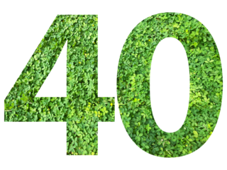 The shape of the number 40 is made of green grass isolated on transparent background. Go green concept.