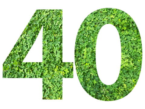 The shape of the number 40 is made of green grass isolated on transparent background. Go green concept.