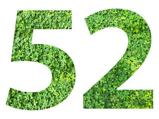 The shape of the number 52 is made of green grass isolated on transparent background. Go green concept.