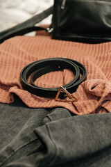 The choice of clothes, the girl's hand in choosing a dress, an outfit on a hanger in the wardrobe in the room, a closet at home. Wardrobe in the house. Clothes for women. Bags. Clothing store.