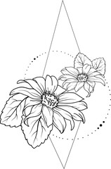 Fototapeta premium Sunflower geometric outline illustration