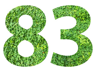 The shape of the number 83 is made of green grass isolated on transparent background. Go green...