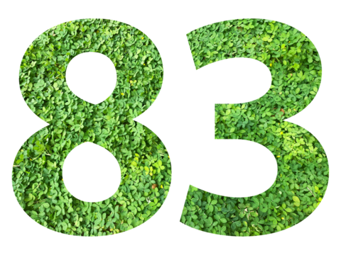 The shape of the number 83 is made of green grass isolated on transparent background. Go green concept.