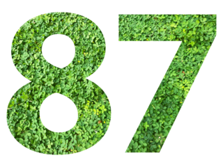 The shape of the number 87 is made of green grass isolated on transparent background. Go green concept.
