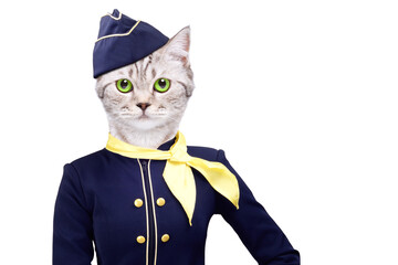 Beautiful cat wearing a stewardess costume isolated on a white background
