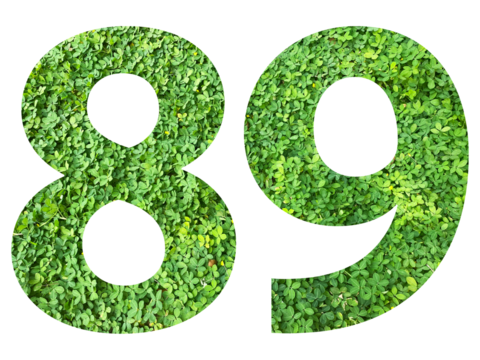 The shape of the number 89 is made of green grass isolated on transparent background. Go green concept.