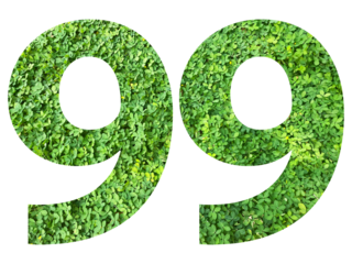 The shape of the number 99 is made of green grass isolated on transparent background. Go green concept.