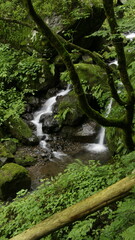 mountain waterfall