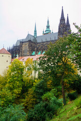 Fototapeta na wymiar St. Vitus Cathedral, Praguem, czech republic