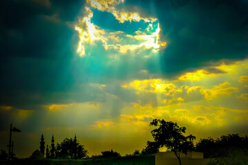 sunset in the forest